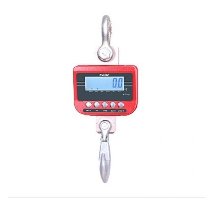 TN 大型电子吊秤